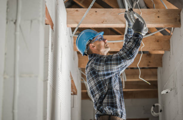 Best Electrician for Home Renovation  in Annandale, NJ